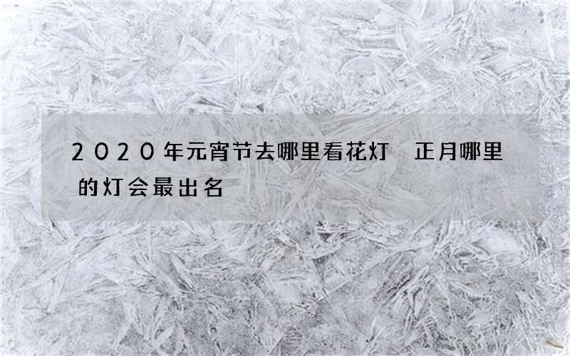 2020年元宵节去哪里看花灯 正月哪里的灯会最出名